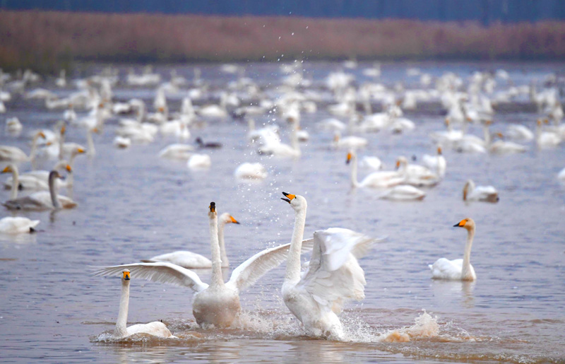 促進(jìn)人與自然和諧共生——各地貫徹落實黨的二十大精神推動綠色發(fā)展觀察